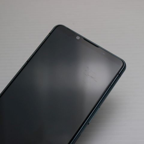 �¿��ݾ� ���� SO-53B Xperia 5 III ���꡼�� �����