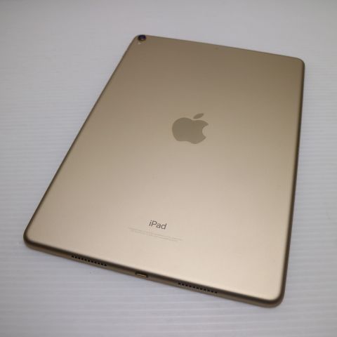 �¿��ݾ� Ķ���� iPad Pro 10.5����� Wi-Fi 256GB ������� ����