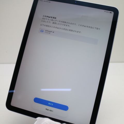 �¿��ݾ� Ķ���� iPad Air ��4���� Wi-Fi 256GB �������֥롼 ������ȯ��