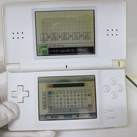 ¿ݾ  ˥ƥɡDS Lite 饤 ۥ磻  
