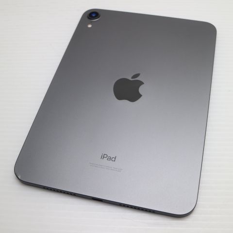 �¿��ݾ� ���� iPad mini ��6���� Wi-Fi 256GB ���ڡ������쥤