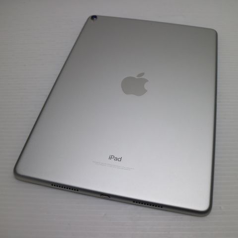 �¿��ݾ� Ķ���� iPad Pro 10.5����� Wi-Fi 256GB ����С� ����