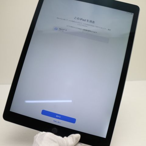 �¿��ݾ��� Ķ���� iPad Pro 12.9����� Wi-Fi 128GB ���ڡ������쥤