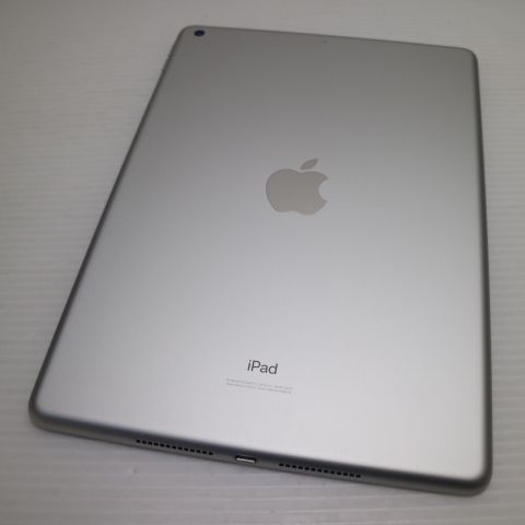 �¿��ݾ� Ķ���� iPad7 ��7���� wi-fi��ǥ� 128GB  ����С�