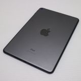 Ʊ iPad mini 5 Wi-Fi 256GB ڡ쥤
