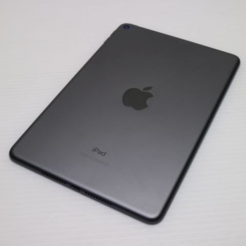Ʊ iPad mini 5 Wi-Fi 256GB ڡ쥤