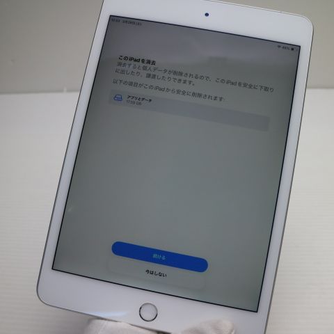 Ķ���� SIM�ե꡼ iPad mini 5 Wi-Fi+����顼  64GB ����С�