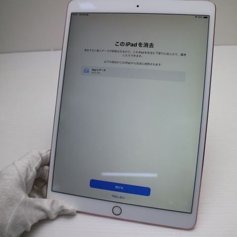 �¿��ݾ� Ķ���� iPad Pro 10.5����� Wi-Fi 64GB �������������