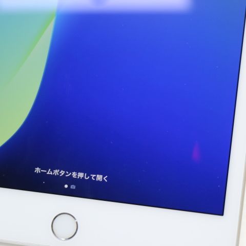 ���� SIM�ե꡼ iPad mini 5 Wi-Fi+Cellular  64GB ����С�