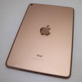 ���� iPad mini 5 Wi-Fi 256GB �������