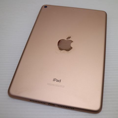 ���� iPad mini 5 Wi-Fi 256GB �������