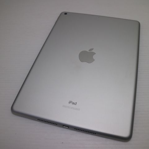 �¿��ݾ� Ķ���� iPad7 ��7���� wi-fi��ǥ� 128GB  ����С�