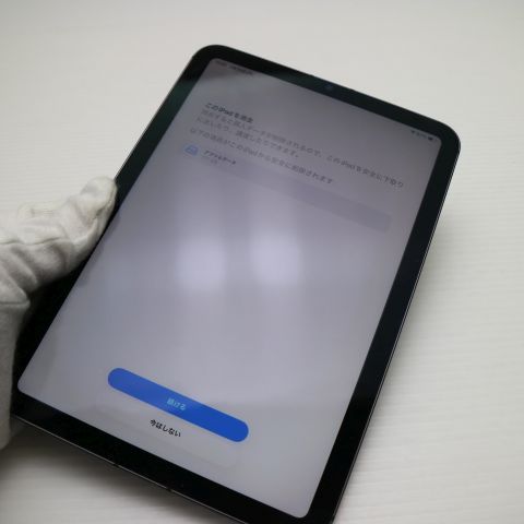 ���� SIM�ե꡼ iPad mini ��6����  Wi-Fi+Cellular 256GB ���쥤