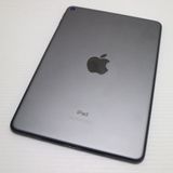 Ķ���� iPad mini 5 Wi-Fi 256GB ���ڡ������쥤