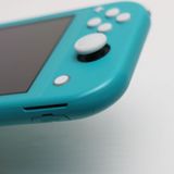�¿��ݾ� ���� Nintendo Switch Lite ����������
