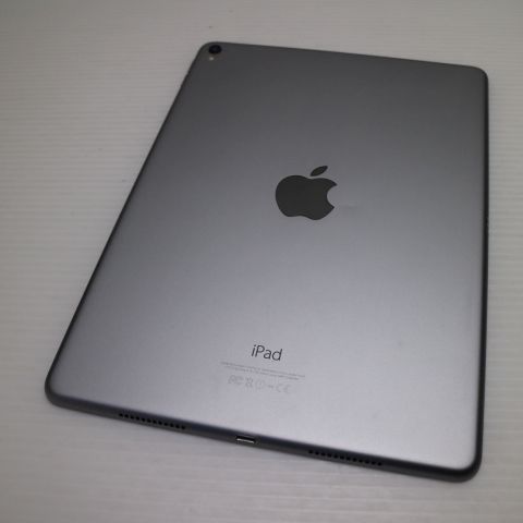 �¿��ݾ� Ķ���� iPad Pro 9.7����� Wi-Fi 32GB ���ڡ������쥤