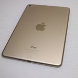 �¿��ݾ��� Ķ���� iPad mini 4 Wi-Fi 128GB �������  �������