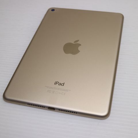 �¿��ݾ��� Ķ���� iPad mini 4 Wi-Fi 128GB �������  �������