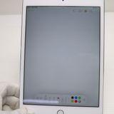 �¿��ݾ��� Ķ���� SIM�ե꡼ iPad mini 4 Cellular16GB ����С�
