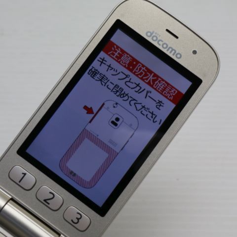 �¿��ݾ��� Ķ���� F-01G �餯�餯�ۥ� �١����å�4 �������  �������