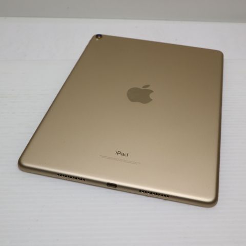 �¿��ݾ� Ķ���� iPad Pro 10.5����� Wi-Fi 256GB ������� ����
