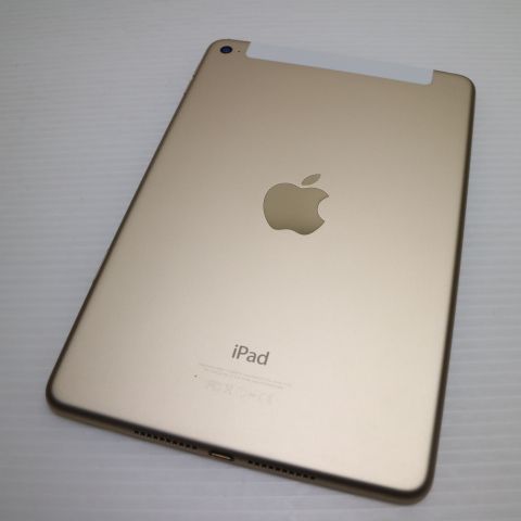 �¿��ݾ��� ����Ʊ�� SIM�ե꡼ iPad mini 4 ����顼 64GB �������