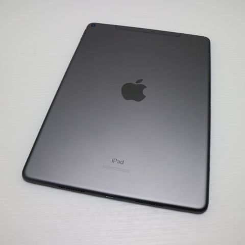  SIMե꡼ iPad Air 3 Cellular 256GB  ڡ쥤 