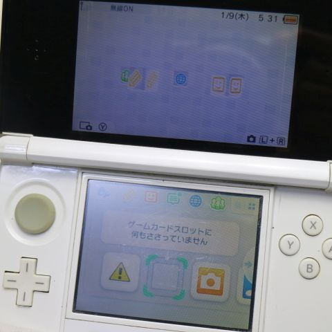 ��� �˥�ƥ�ɡ�3DS �������ۥ磻��  �������