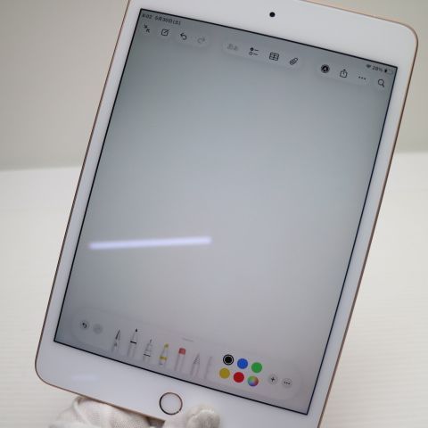 Ķ���� SIM�ե꡼ iPad mini 5 Wi-Fi+����顼  256GB �������