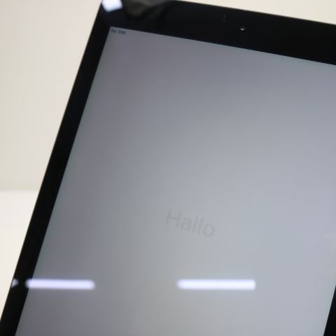 �¿��ݾ��� Ķ���� docomo iPad Air Cellular 16GB ���ڡ������쥤
