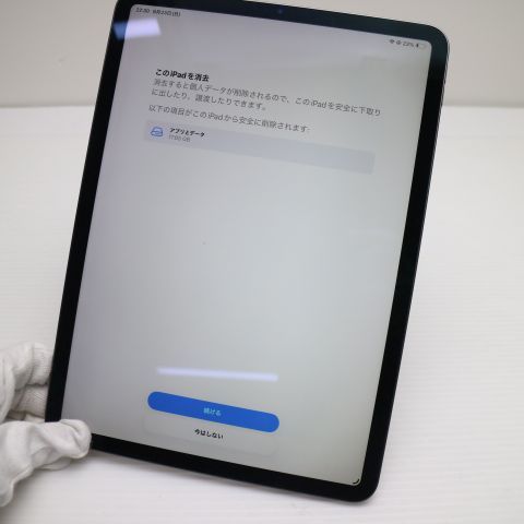 �¿��ݾ� Ķ���� iPad Pro 11����� Wi-Fi 256GB ���ڡ������쥤