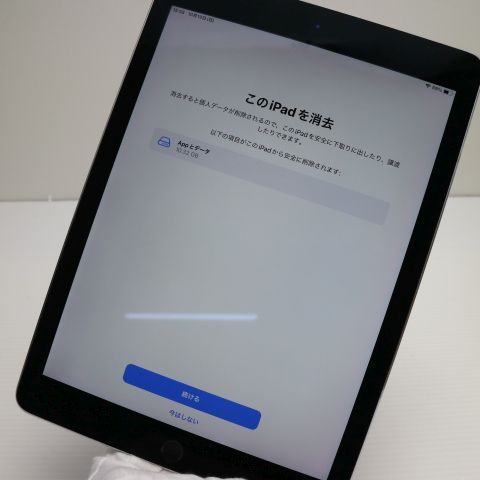 ¿ݾ Ķ SIMե꡼ iPad Pro 9.7 128GB ڡ쥤