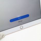 Ķ���� SIM�ե꡼ iPad Air 3 ����顼 256GB  ������� �����