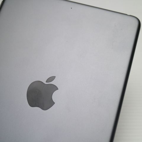 Ķ���� iPad mini 5 Wi-Fi 256GB ���ڡ������쥤