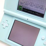��� �˥�ƥ�ɡ�DS Lite �������֥롼  �������