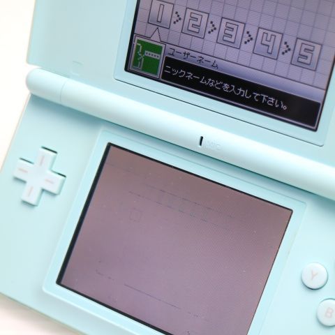 ��� �˥�ƥ�ɡ�DS Lite �������֥롼  �������
