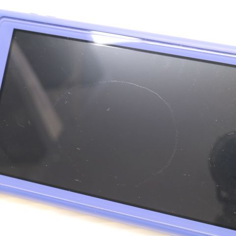 ¿ݾ  Nintendo Switch Lite ֥롼