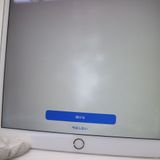 �¿��ݾ� Ķ���� iPad Pro 10.5����� Wi-Fi 256GB ����С� ����
