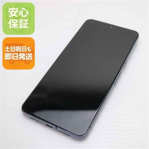 �¿��ݾ� Ķ���� SIM�ե꡼ Google Pixel 8 Pro 128GB ���֥��ǥ�����