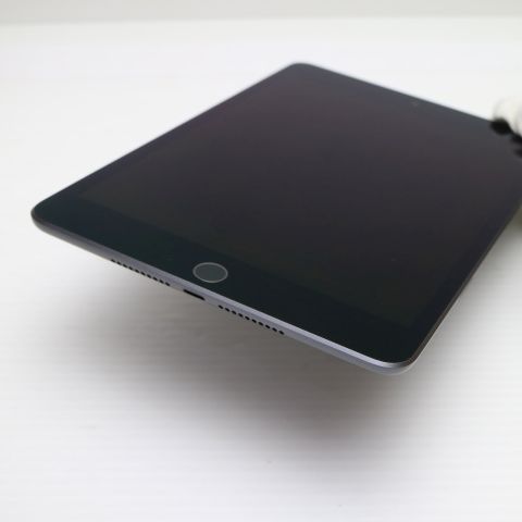 ����Ʊ�� SIM�ե꡼ iPad mini 5 Wi-Fi+����顼  256GB ���ڡ������쥤