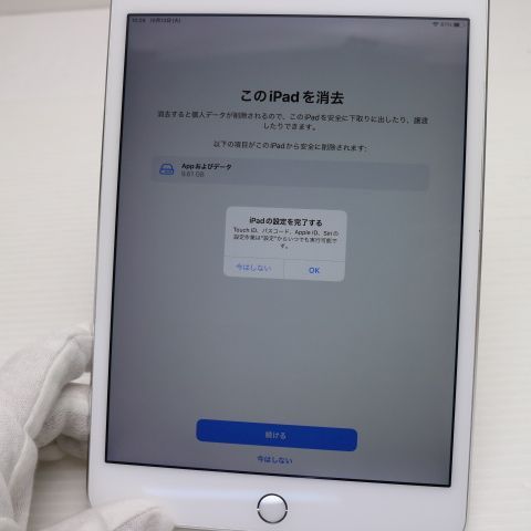 Ķ���� SIM�ե꡼ iPad mini 4 Cellular 64GB ����С�
