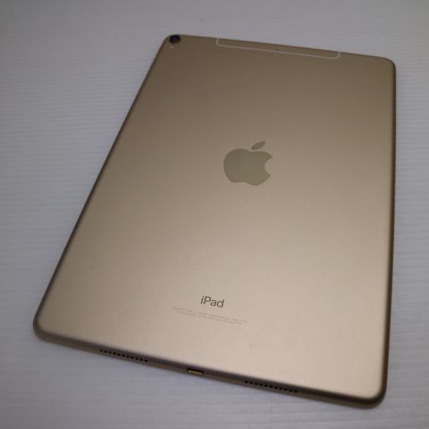 ¿ݾ  SIMե꡼ iPad Pro 10.5 512GB 