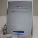 Ķ���� SIM�ե꡼ iPad Pro 10.5����� Wi-Fi+����顼  64GB ����С�