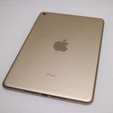 �¿��ݾ��� ���� iPad mini 4 Wi-Fi 128GB �������  �������