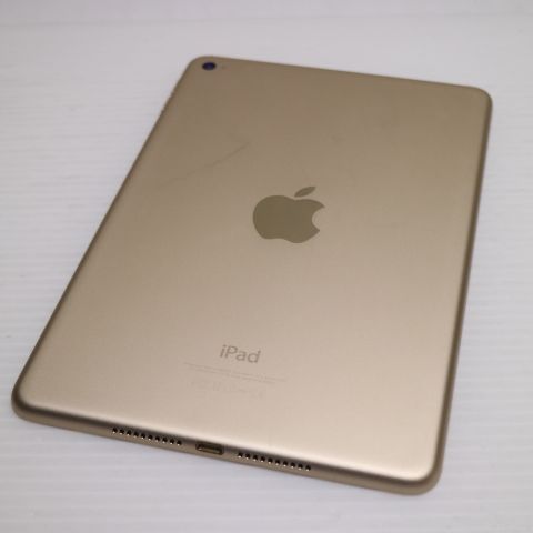 �¿��ݾ��� ���� iPad mini 4 Wi-Fi 128GB �������  �������
