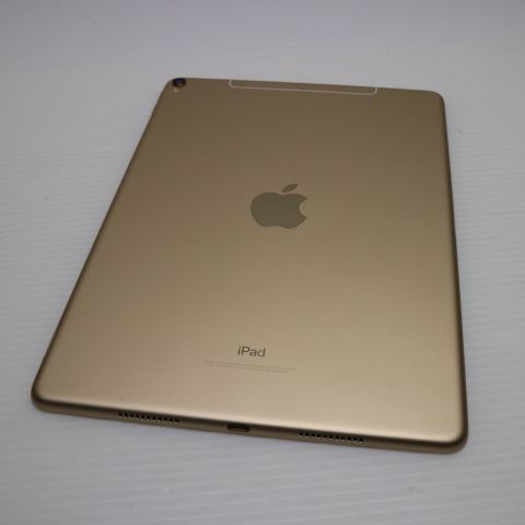 ¿ݾ Ķ SIMե꡼ iPad Pro 10.5 256GB 