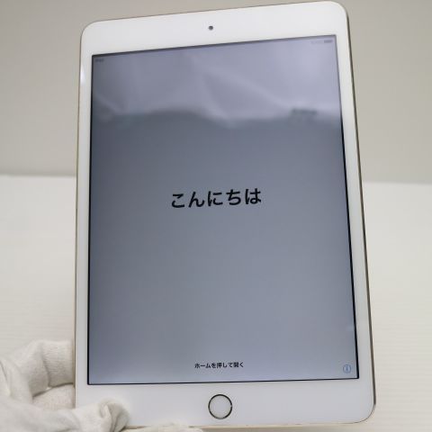 �¿��ݾ��� Ķ���� iPad mini 3 Wi-Fi 16GB �������  �������