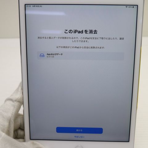 �¿��ݾ� Ķ���� SIM�ե꡼ iPad mini 4 ����顼 64GB ����С�