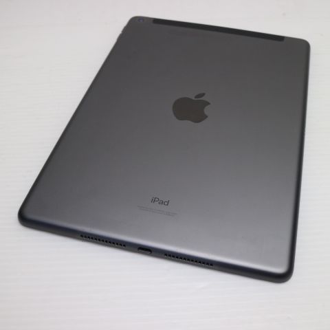 Ķ���� SIM�ե꡼ iPad9 ��9���� Wi-Fi+����顼  256GB ���ڡ������쥤