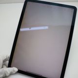 ¿ݾ  iPad Air 4 Wi-Fi 64GB ֥롼 ȯ
